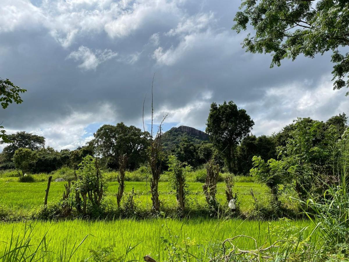 Thilina Homestay Sigiriya Buitenkant foto