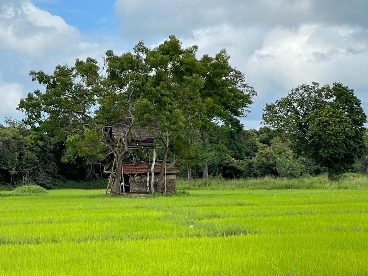Thilina Homestay Sigiriya Buitenkant foto