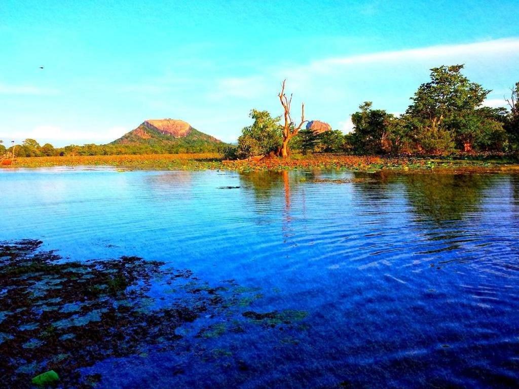 Thilina Homestay Sigiriya Buitenkant foto